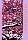 Published on 1/2/2006 ½ϱ󷨵ӹףȱΰʦã