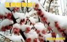 Published on 1/2/2006 ½ϱ󷨵ӹףȱΰʦã壩
