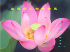 Published on 1/29/2006 ½󷨵ӹףʦũã壩