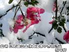 Published on 1/29/2006 ½󷨵ӹףʦũã壩