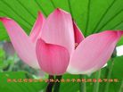 Published on 1/29/2006 ½󷨵ӹףʦũã壩