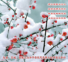 Published on 1/29/2006 ½󷨵ӹףʦũãģ