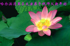 Published on 1/30/2006 ½󷨵ӹףʦũãߣ