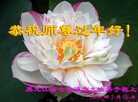Published on 1/30/2006 ½󷨵ӹףʦũãߣ