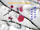 Published on 1/30/2006 ½󷨵ӹףʦũãߣ