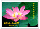 Published on 1/30/2006 ½󷨵ӹףʦũã