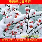 Published on 1/30/2006 ½󷨵ӹףʦũã