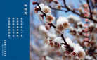 Published on 1/30/2006 ½󷨵ӹףʦũã