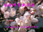 Published on 1/31/2006 ½󷨵ӹףʦũãţ