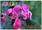 Published on 1/31/2006 ½󷨵ӹףʦũãţ