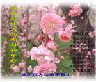 Published on 1/31/2006 ½󷨵ӹףʦũãţ