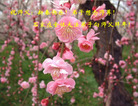 Published on 1/31/2006 ½󷨵ӹףʦũãţ