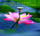 Published on 1/31/2006 ½󷨵ӹףʦũãţ