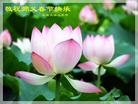 Published on 1/31/2006 ½󷨵ӹףʦũãţ