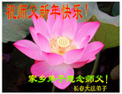 Published on 1/31/2006 ½󷨵ӹףʦũãˣ 