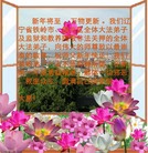 Published on 1/31/2006 ½󷨵ӹףʦũãˣ 