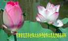 Published on 2/1/2006 ½󷨵ӹףʦũãʮһ