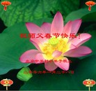 Published on 2/1/2006 ½󷨵ӹףʦũãʮһ