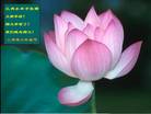 Published on 2/1/2006 ½󷨵ӹףʦũãʮһ