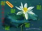 Published on 2/1/2006 ½󷨵ӹףʦũãʮһ