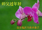 Published on 2/1/2006 ½󷨵ӹףʦũãʮһ