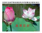Published on 2/1/2006 ½󷨵ӹףʦũãʮһ