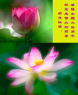 Published on 12/31/2006 ½󷨵ӹףʦ֣壩