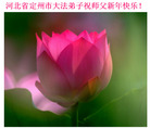 Published on 1/1/2007 ½󷨵ӹףʦ֣ţ