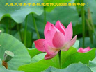 Published on 1/1/2007 ½󷨵ӹףʦ֣ţ