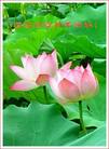 Published on 1/1/2007 ½󷨵ӹףʦ֣ţ