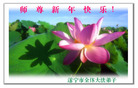 Published on 1/1/2007 ½󷨵ӹףʦ֣ţ