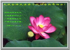 Published on 1/1/2007 ½󷨵ӹףʦ֣ţ