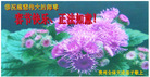Published on 2/2/2006 ½󷨵ӹףʦũãʮ