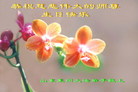 Published on 5/11/2006 ½󷨵ףʦտ֣һ