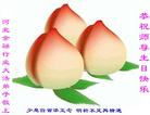 Published on 5/11/2006 ½󷨵ףʦտ֣һ