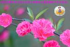 Published on 5/11/2006 ½󷨵ףʦտ֣һ
