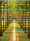 Published on 5/11/2006 ½󷨵ףʦտ֣һ