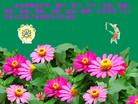 Published on 5/11/2006 ½󷨵ףʦտ֣һ
