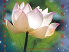 Published on 5/11/2006 ½󷨵ףʦտ֣һ