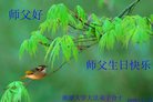 Published on 5/13/2006 ϵͳ󷨵Ӿףΰȱʦտ