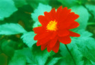 Published on 5/13/2006 ½ӹʦ𻪵ߵ߽編ִգģ