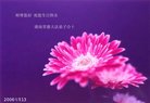 Published on 5/13/2006 ½ӹʦ𻪵ߵ߽編ִգ