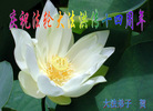 Published on 5/14/2006 ½ӹʦ𻪵ߵ߽編ִգߣ