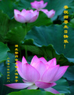Published on 5/14/2006 ½ӹʦ𻪵ߵ߽編ִգߣ