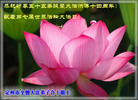 Published on 5/13/2006 ½ӹʦ𻪵ߵ߽編ִգ