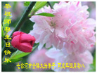 Published on 5/11/2006 ½󷨵ףʦտ֣һ