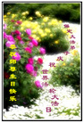 Published on 5/11/2006 ½󷨵ףʦտ֣һ