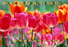 Published on 5/11/2006 ½󷨵ףʦտ֣һ