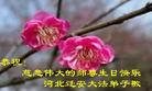Published on 5/11/2006 ½󷨵ףʦտ֣һ
