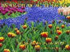 Published on 5/11/2006 ½󷨵ףʦտ֣һ
